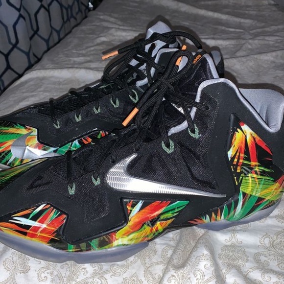 Nike Shoes - Lebron 11 “Everglades” SZ 11.5